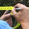 DIKKAT TIHLIKE